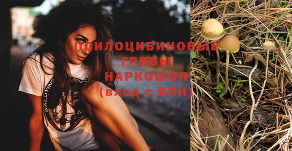 сатива Сосновка