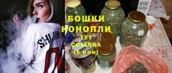 сатива Сосновка